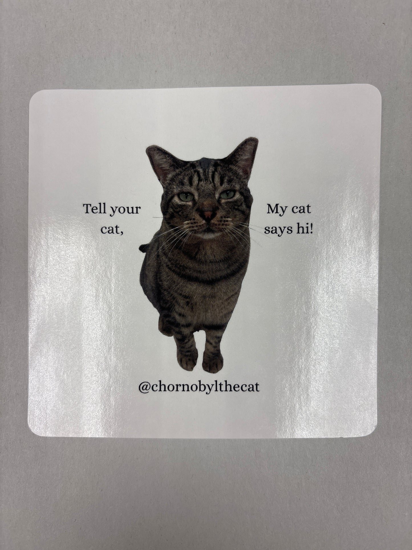 My Cat Says Hi Sticker
