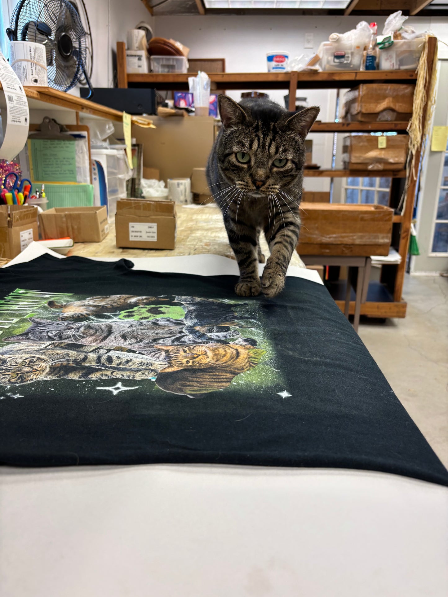 Chernobyl the Cat T-Shirt