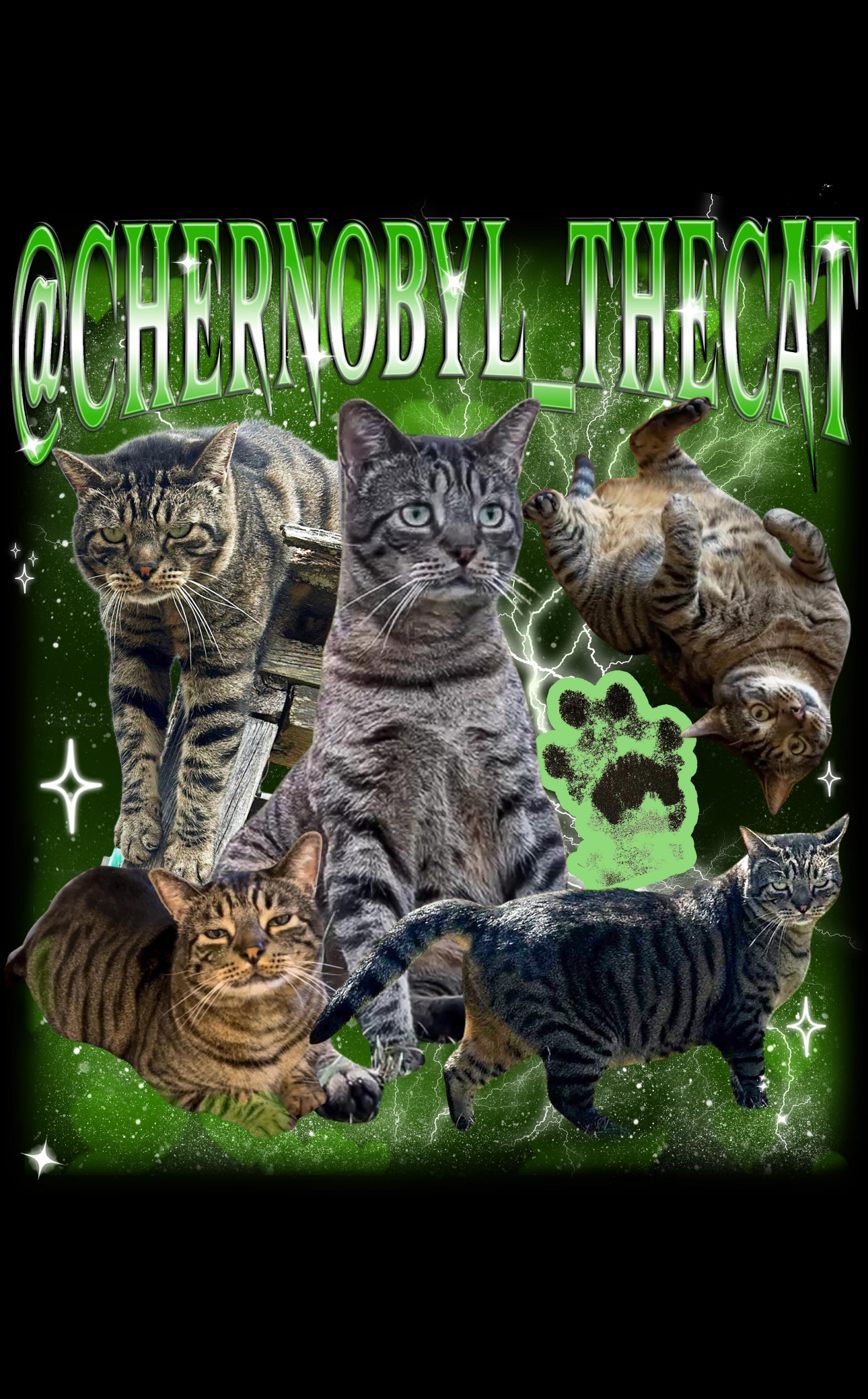 Chernobyl the Cat T-Shirt