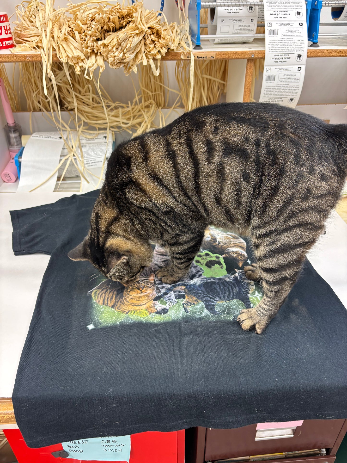 Chernobyl the Cat T-Shirt