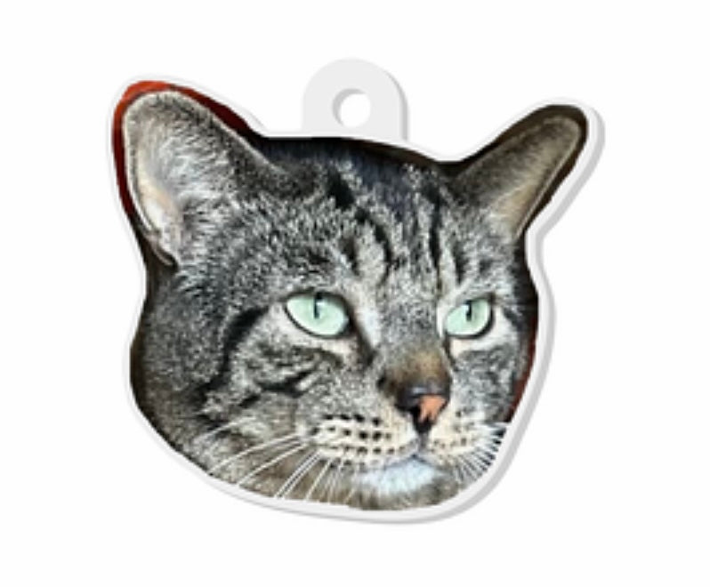 Chornobyl Head Keychain