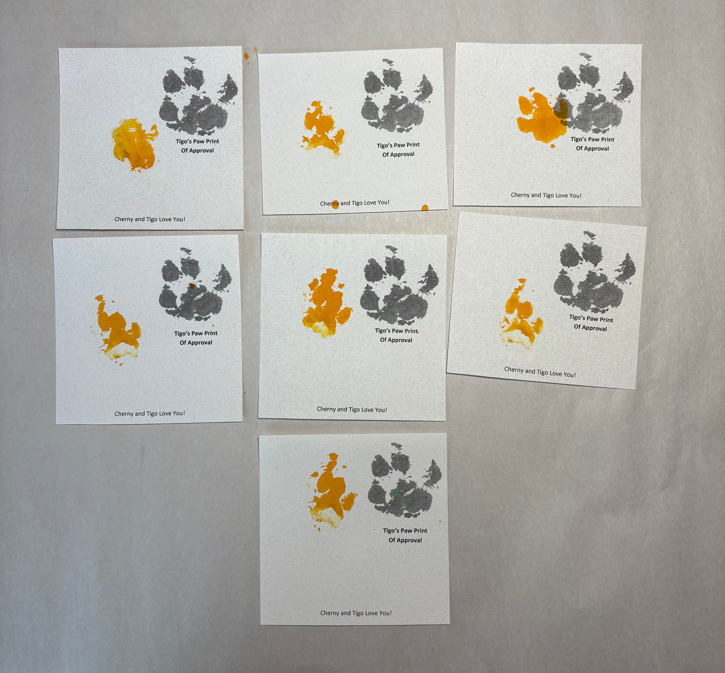 Tigo Paw Print