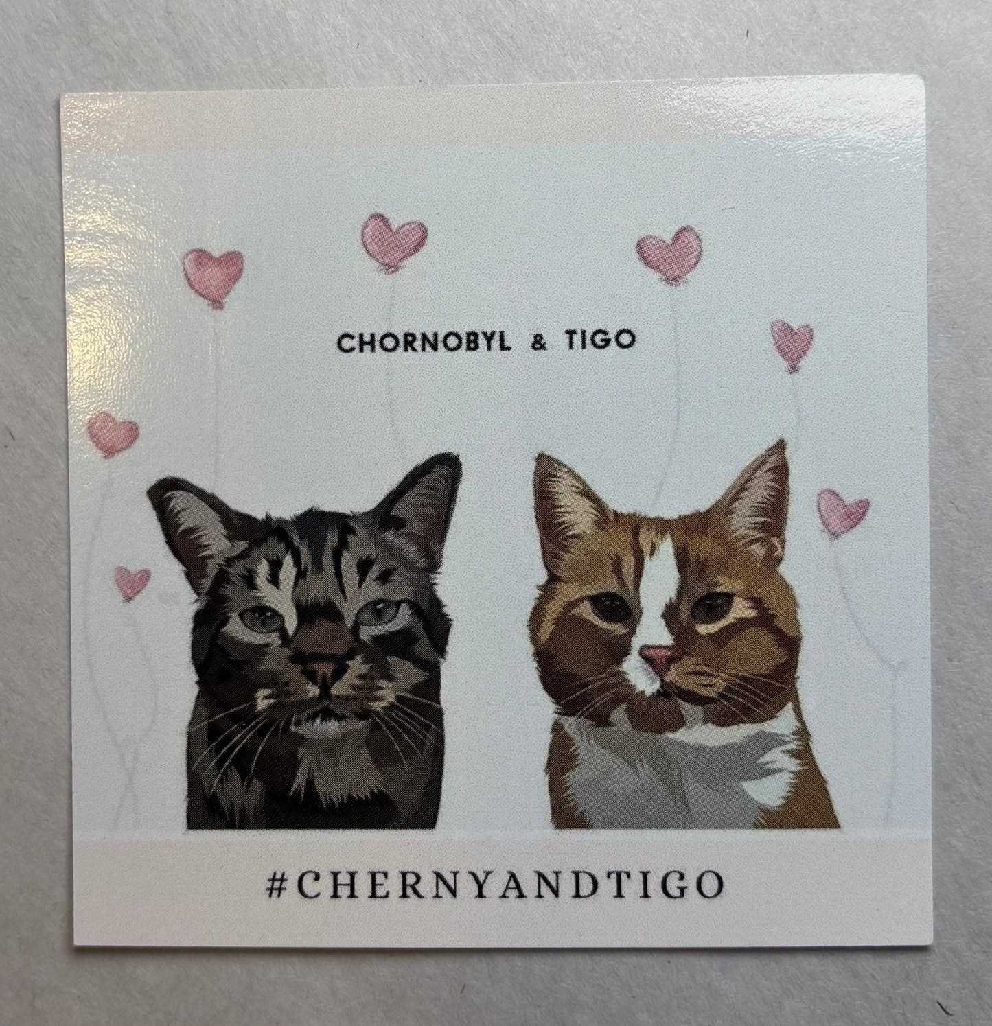 Chornobyl & Tigo Magnet